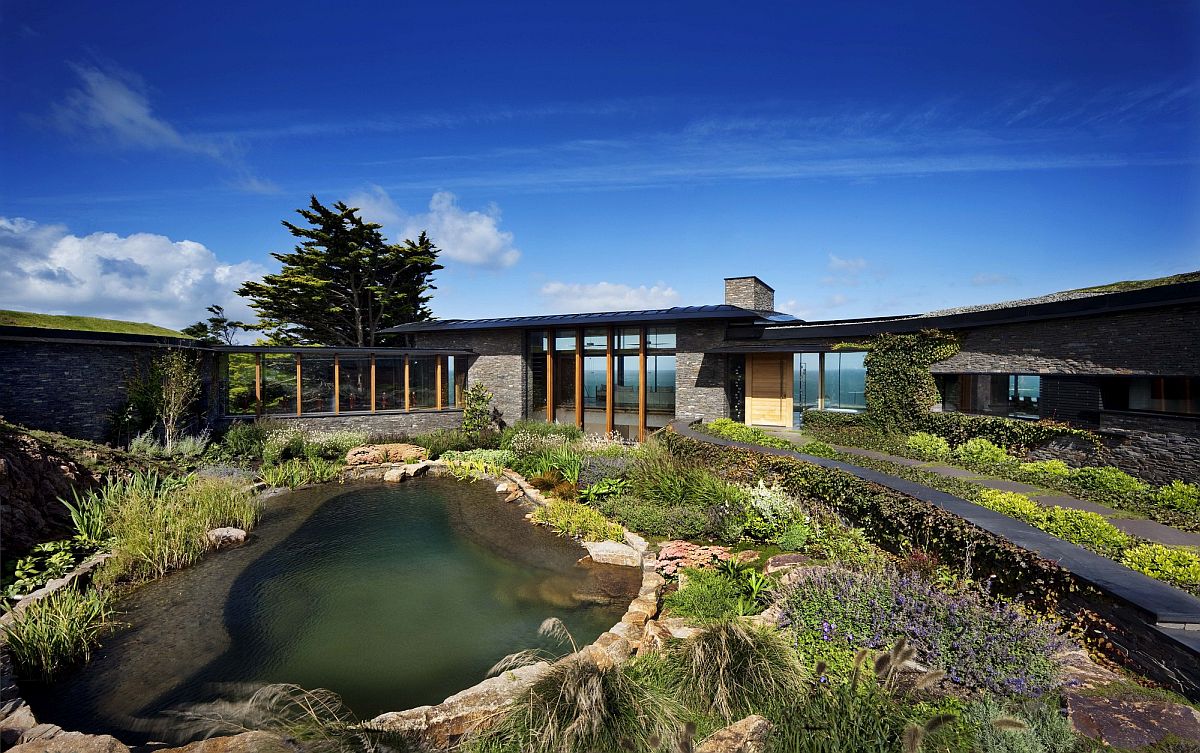 Reeds and plants shape a natural landscape around the pool area and the house while filtering the water naturally