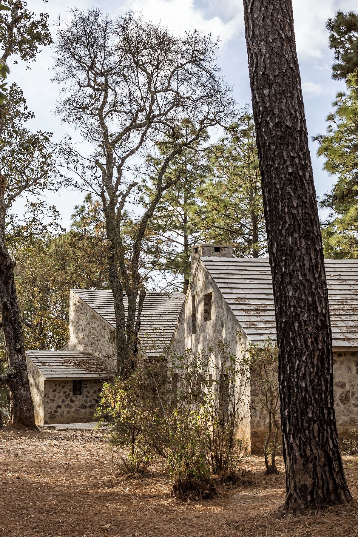 Oak and pine trees flank the path leading to the rustic Mexican cabins