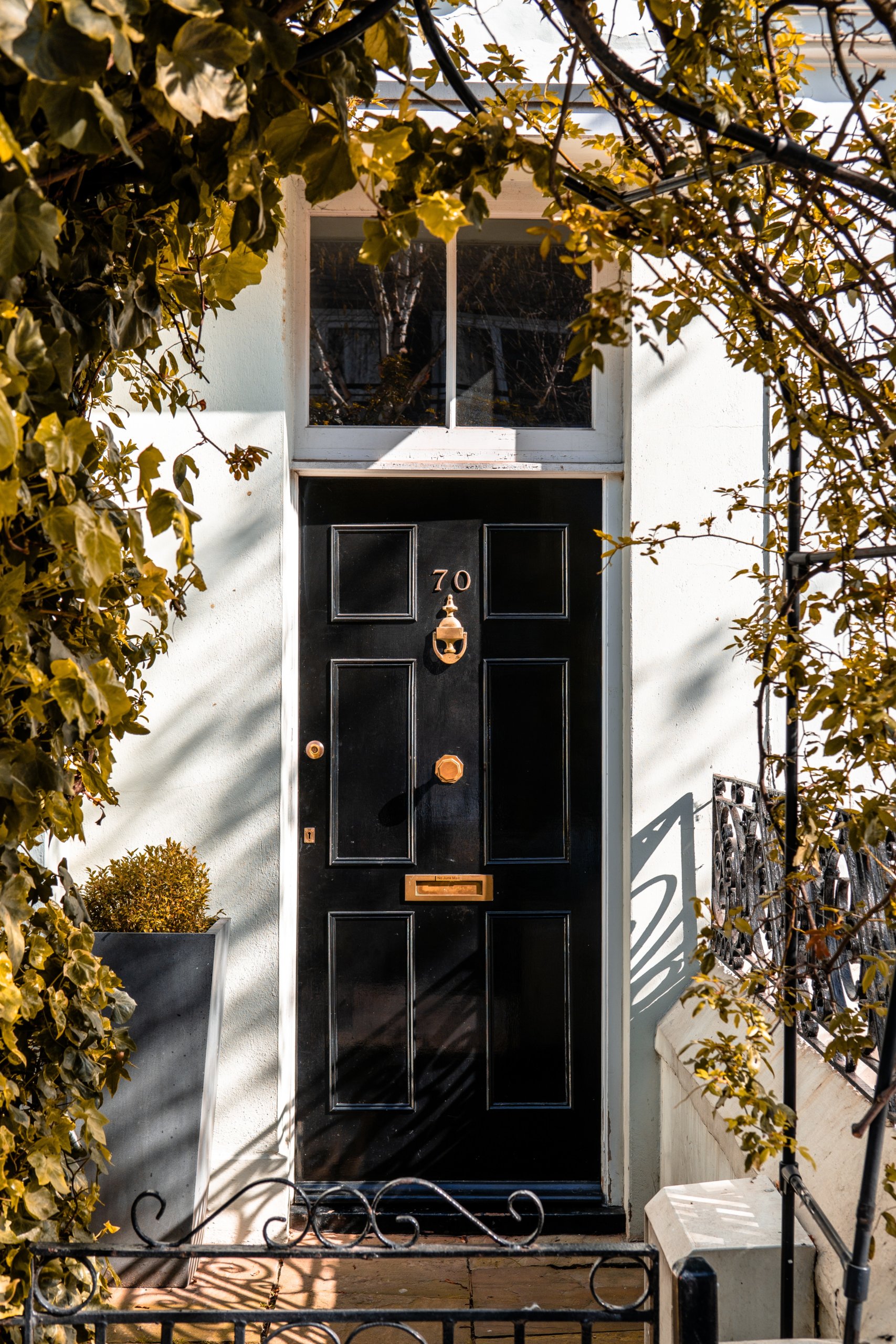 Black door with green vines