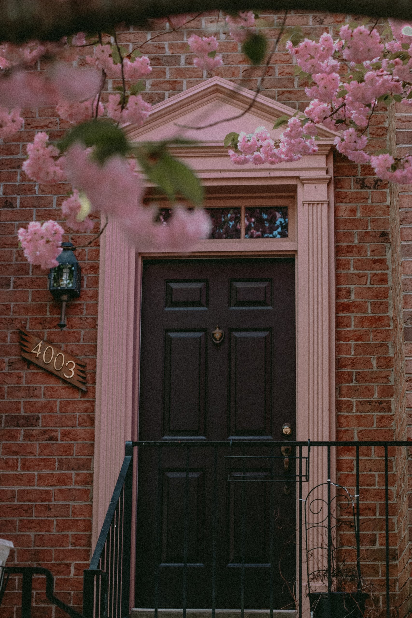 Black door with pink columns