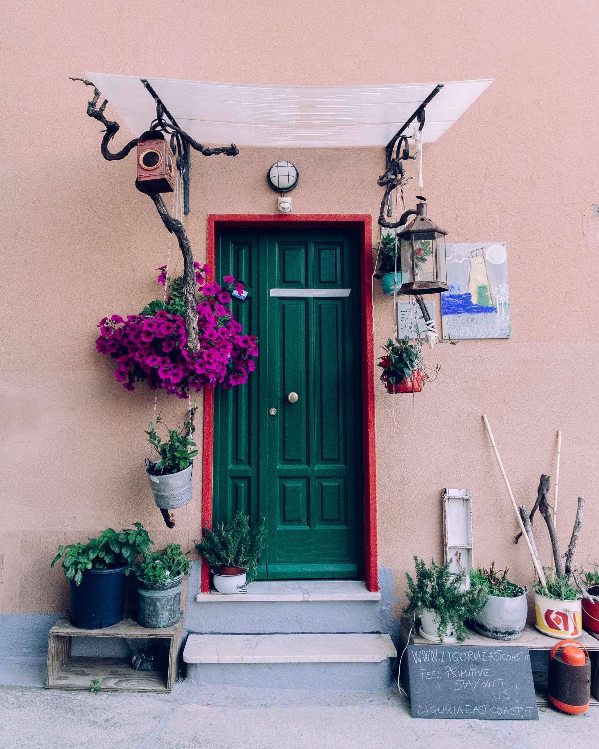 Green front door with hanging purple plants