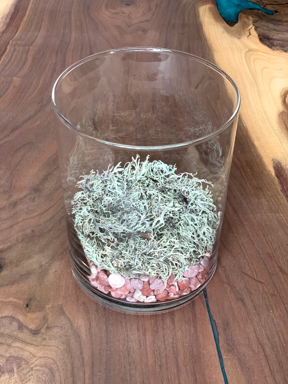 Decorative stones and moss in glass vase