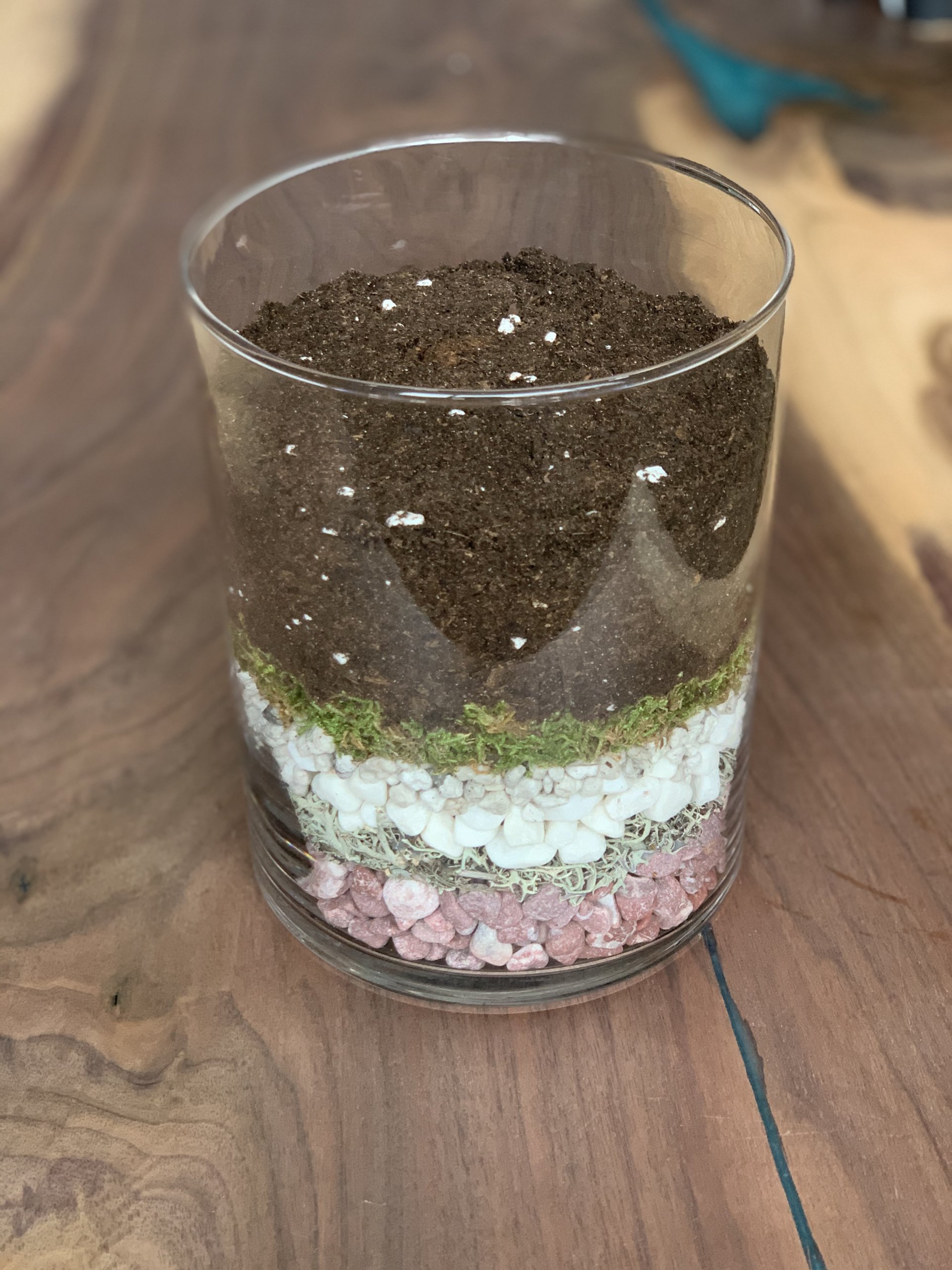 Cactus soil in glass terrarium