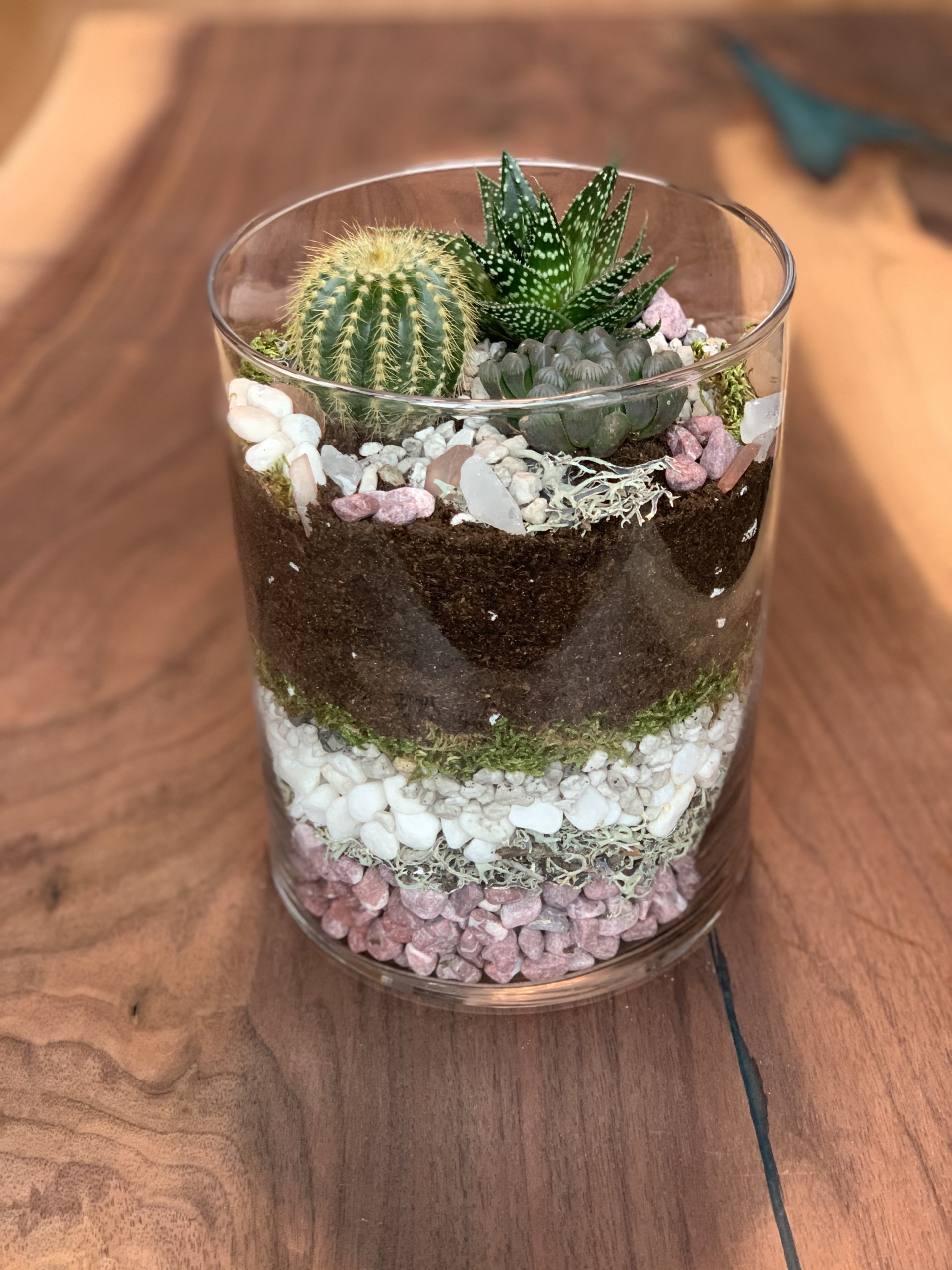 LIVING!! Real Succulent And Cactus Terrarium, Miniature Greenhouse Pendant