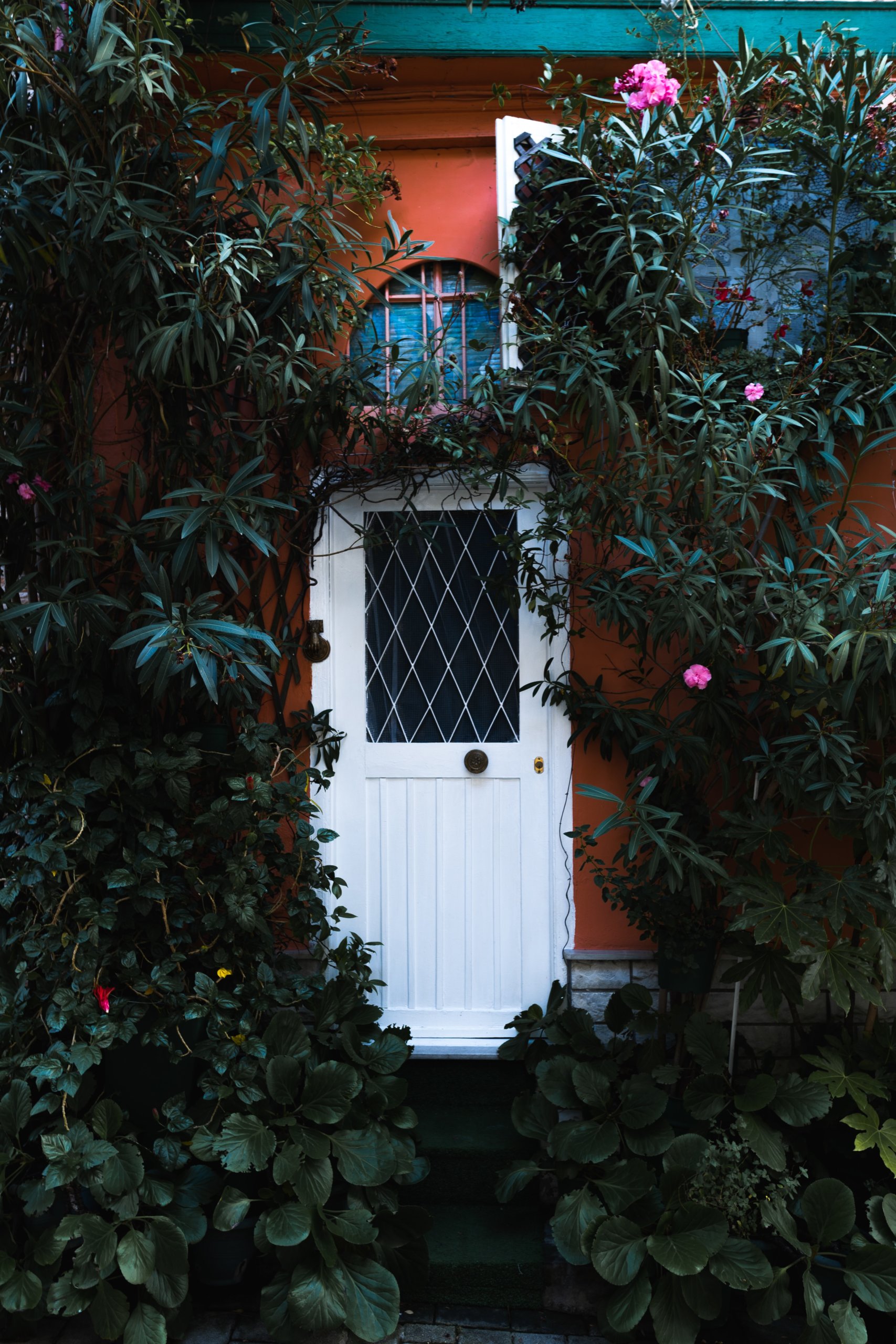 Plants surrounding white door