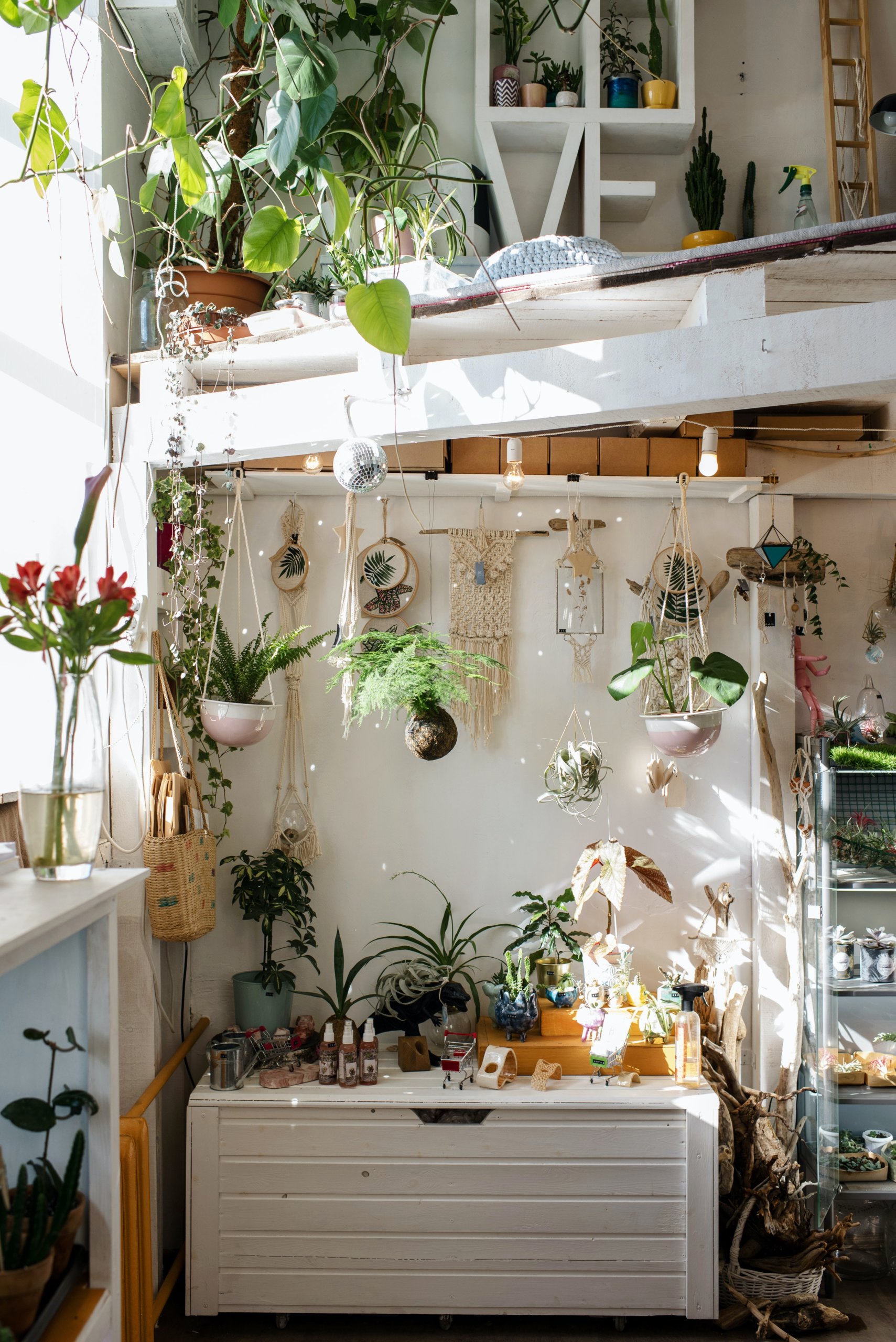 Shelf for Beach Keepsakes