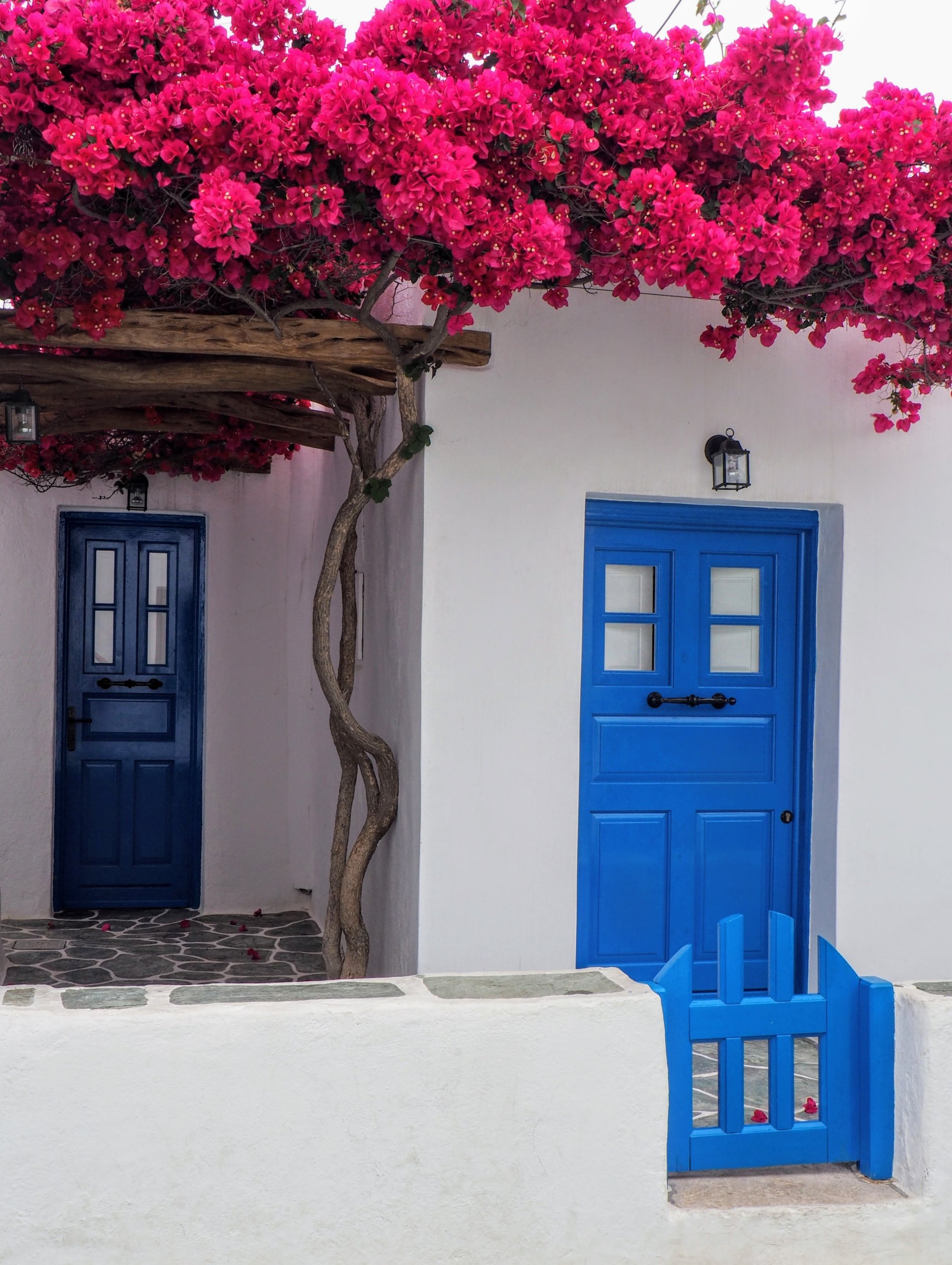 White exterior with blue door and pink flowers on top