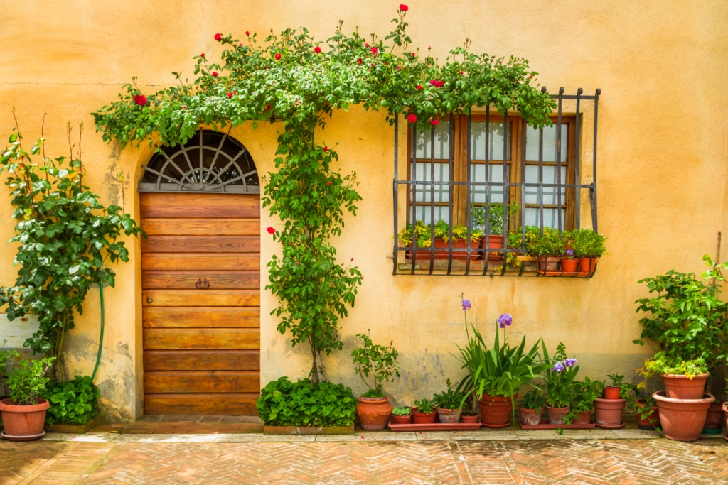 Yellow wall with wooden door and green plants