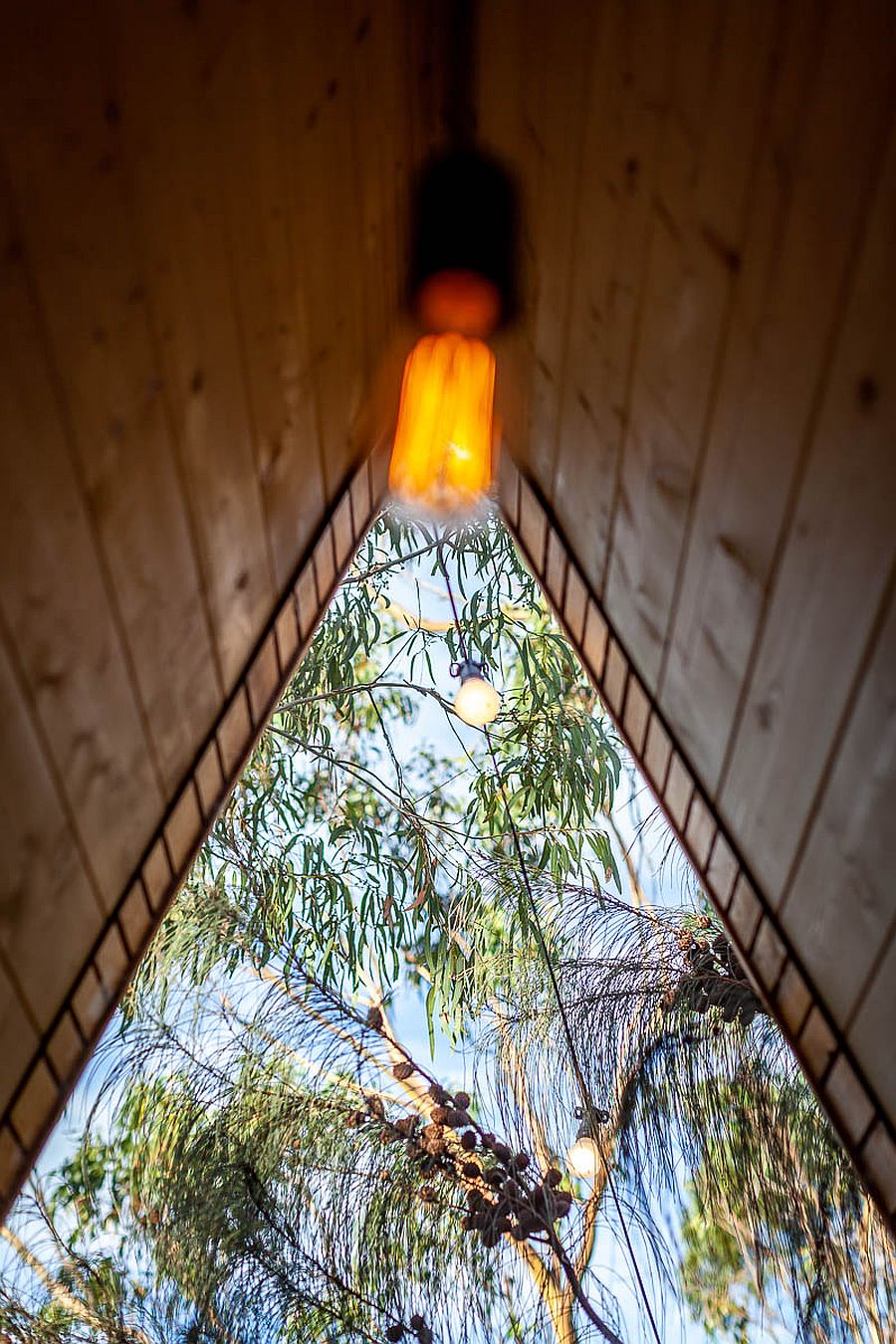 A picture that shows a tree from the point of view of someone standing under the A-frame roof of the house.