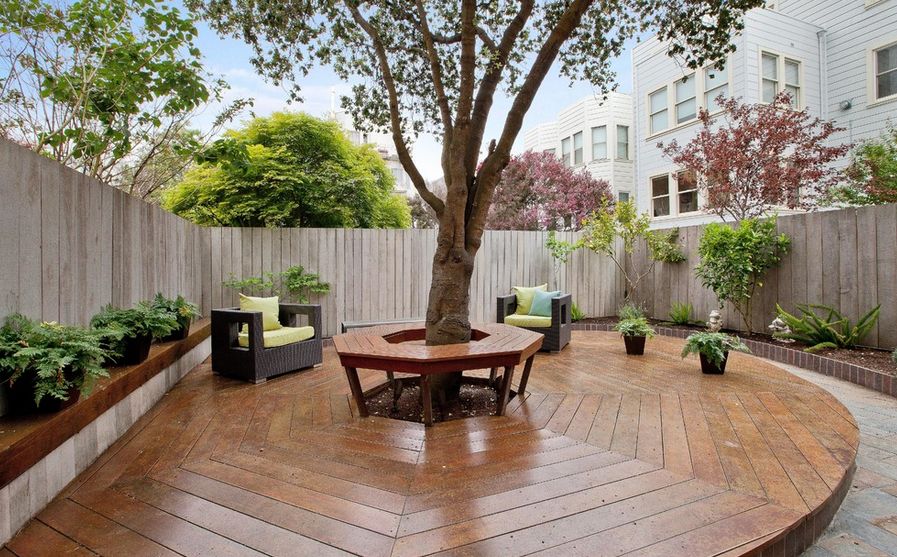 Beautiful tree that stands right on deck