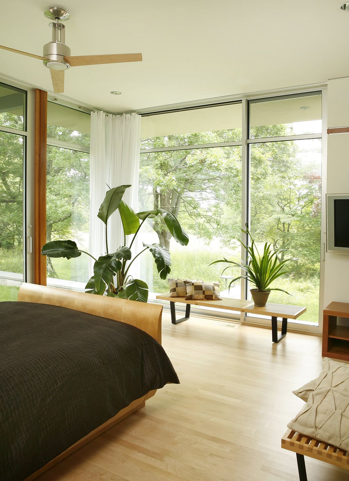 Bring-the-greenery-outside-indoors-with-sliding-glass-doors-and-glass-walls-62091