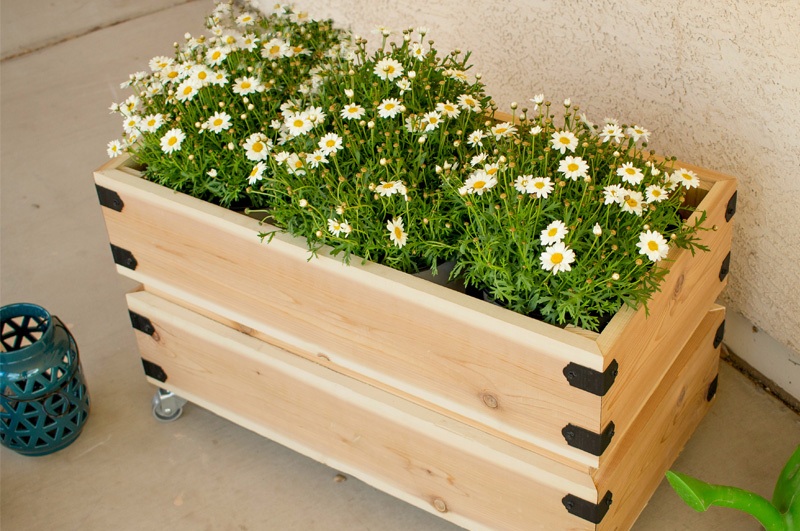 flowers on a crate