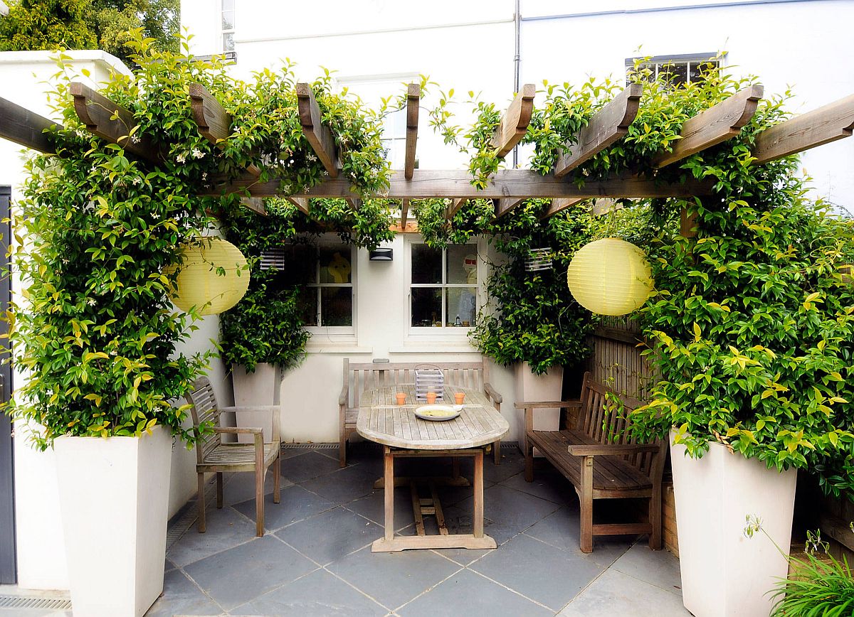 Greenery coupled with a small and stylish pergola structure in the tiny Mediterranean garden