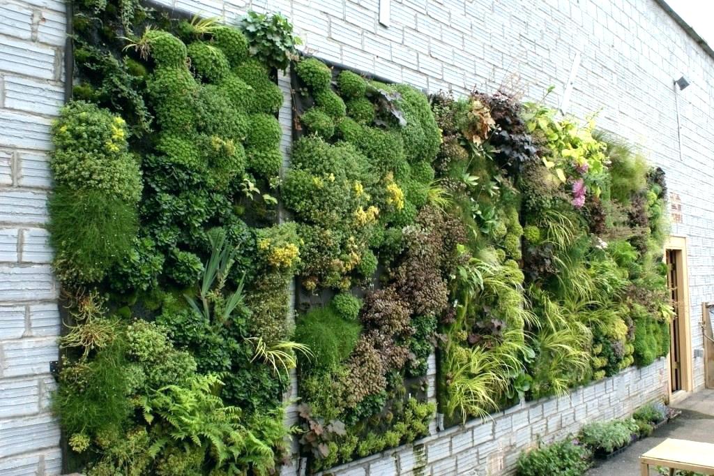 living wall set into brick wall