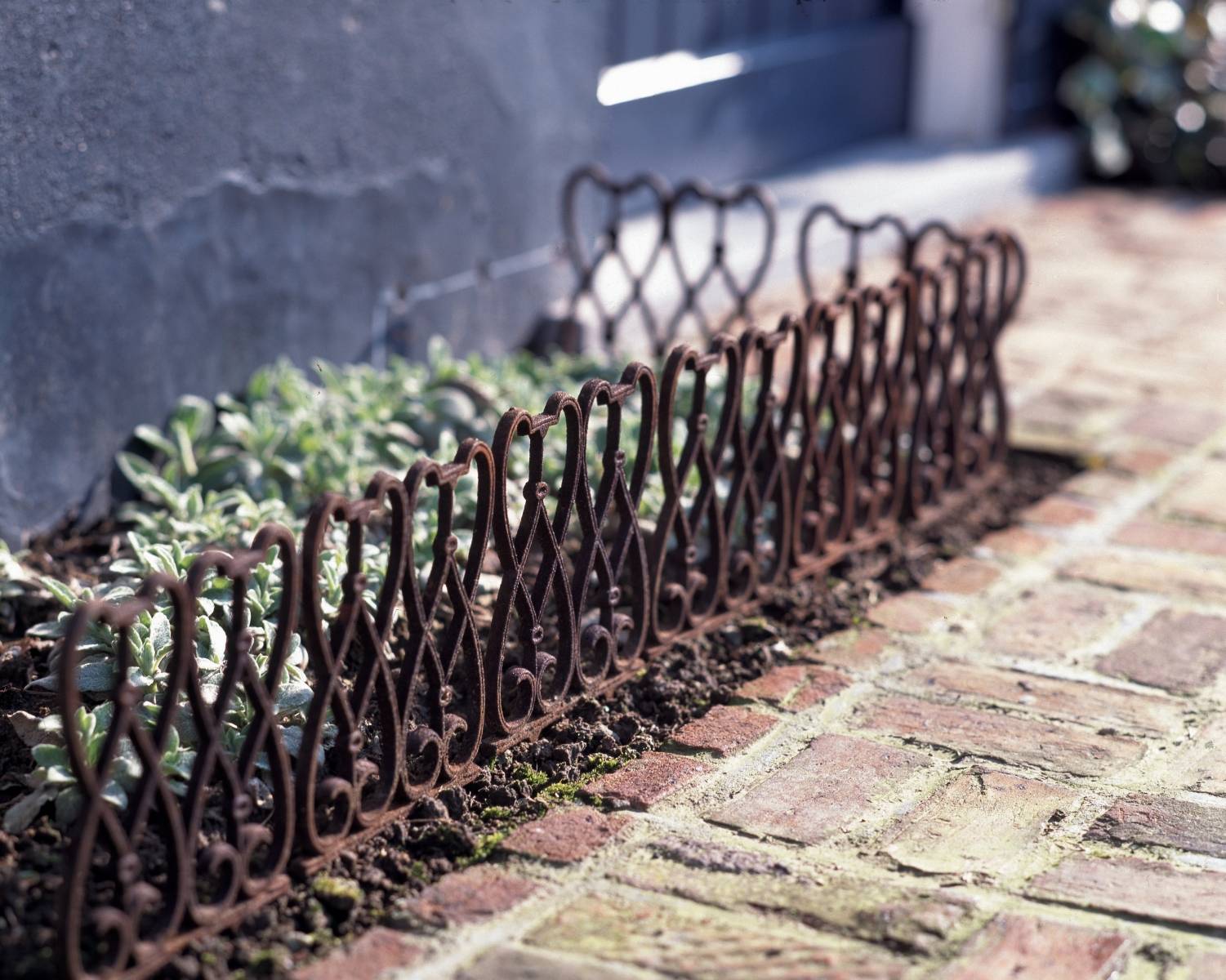 Metal edges of a plant bed