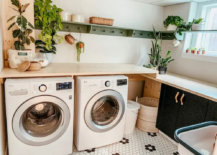 Potted plants in laundry area