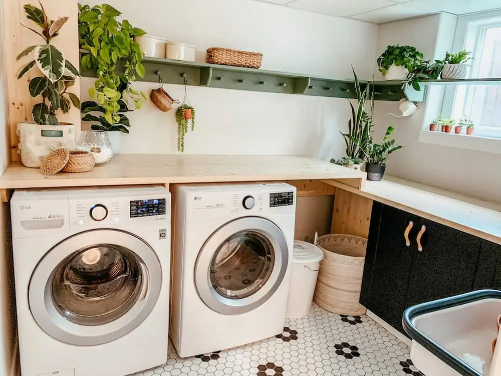 Potted plants in laundry area