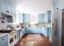 Powder Blue Kitchen Cabinets