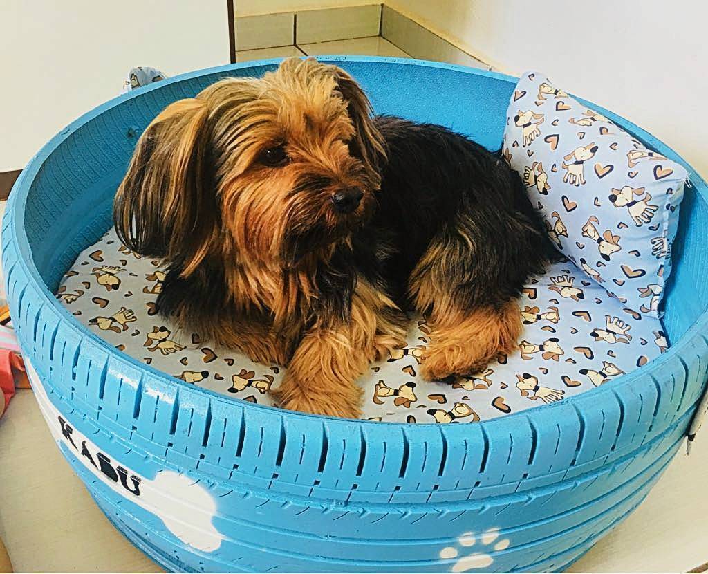 Used tire outlet dog bed