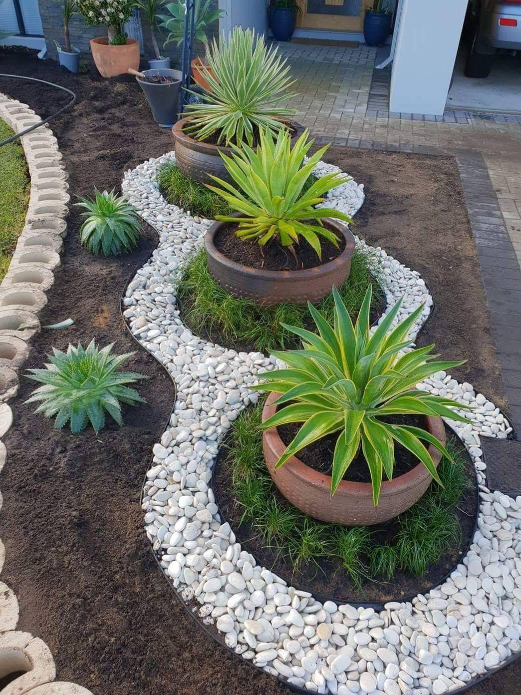 Three big potted plant surrounded by white stones