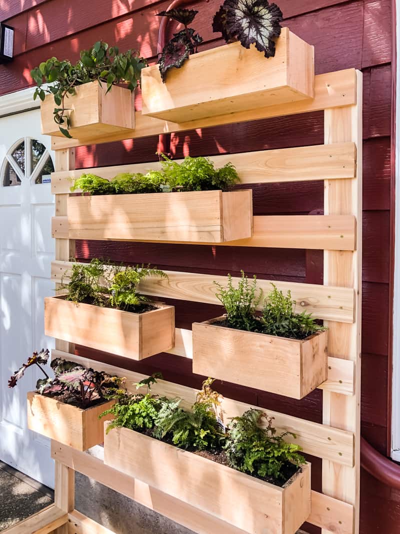 tiered planter boxes