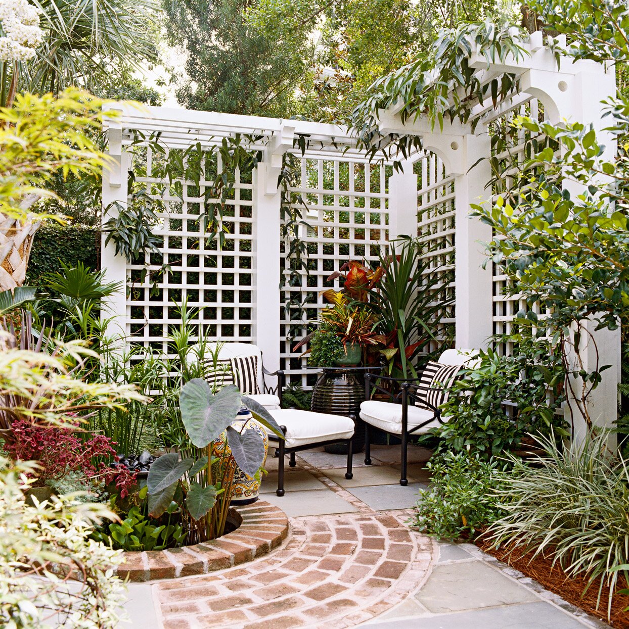 White Lattice Privacy Fencing Plant Wall 