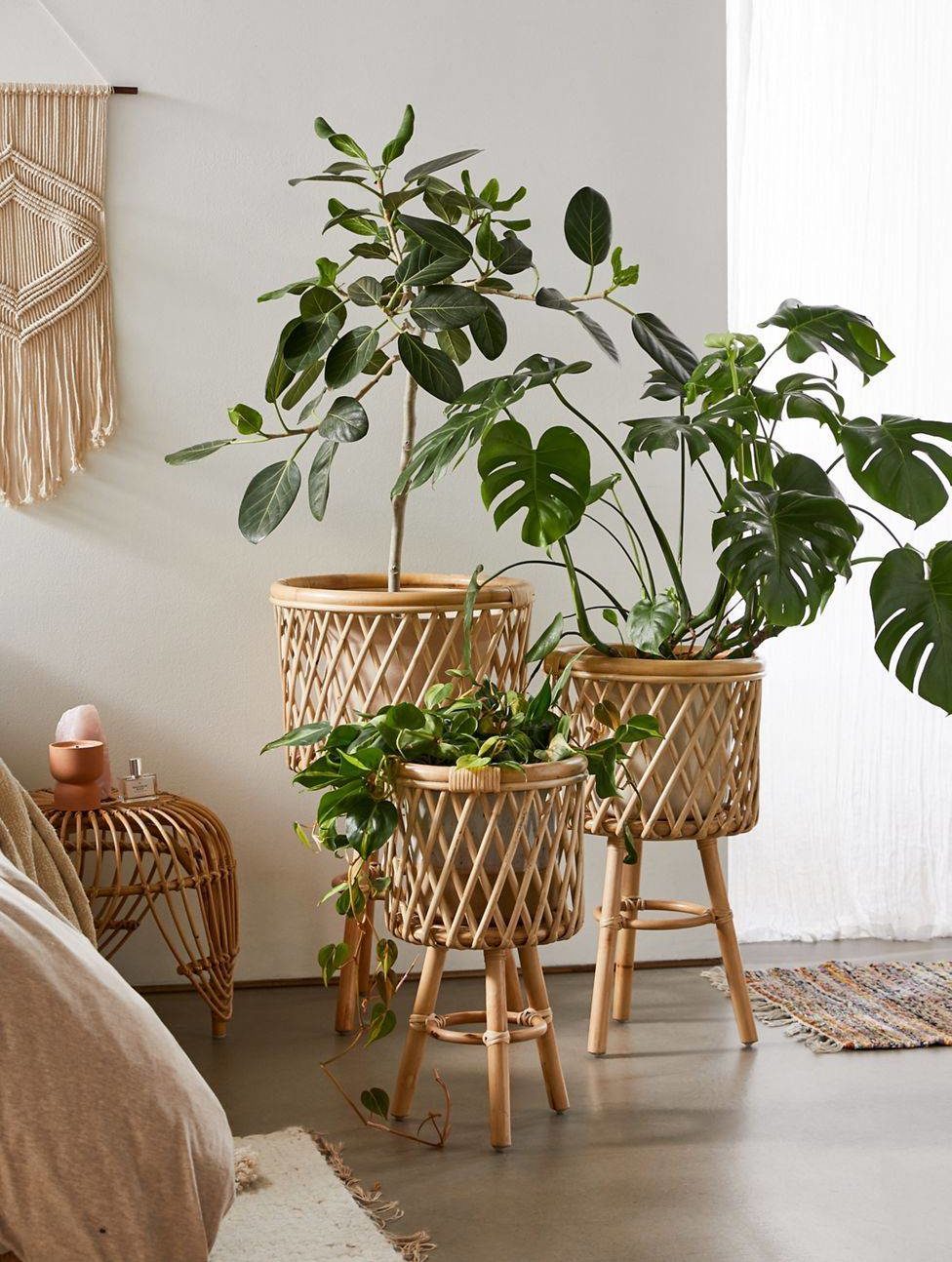 Boho Chic Trend Rattan Plant Stands in Home