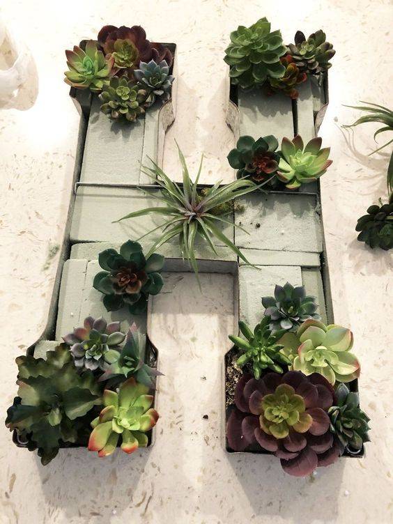 succulents in shape of letter 'H'