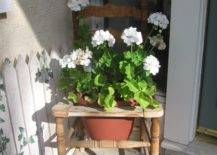 Antique Chair Flower Pot