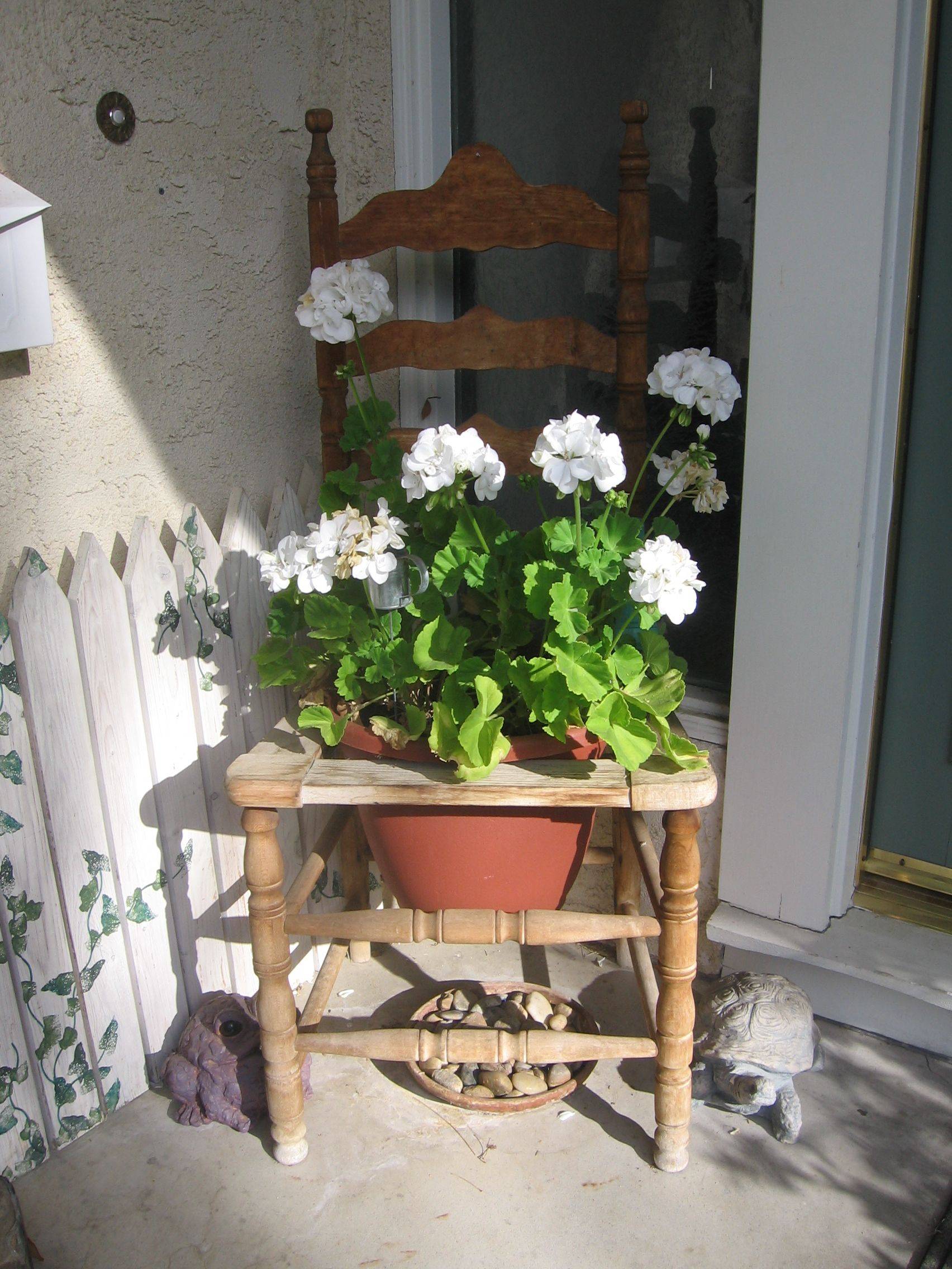 Antique Chair Flower Pot