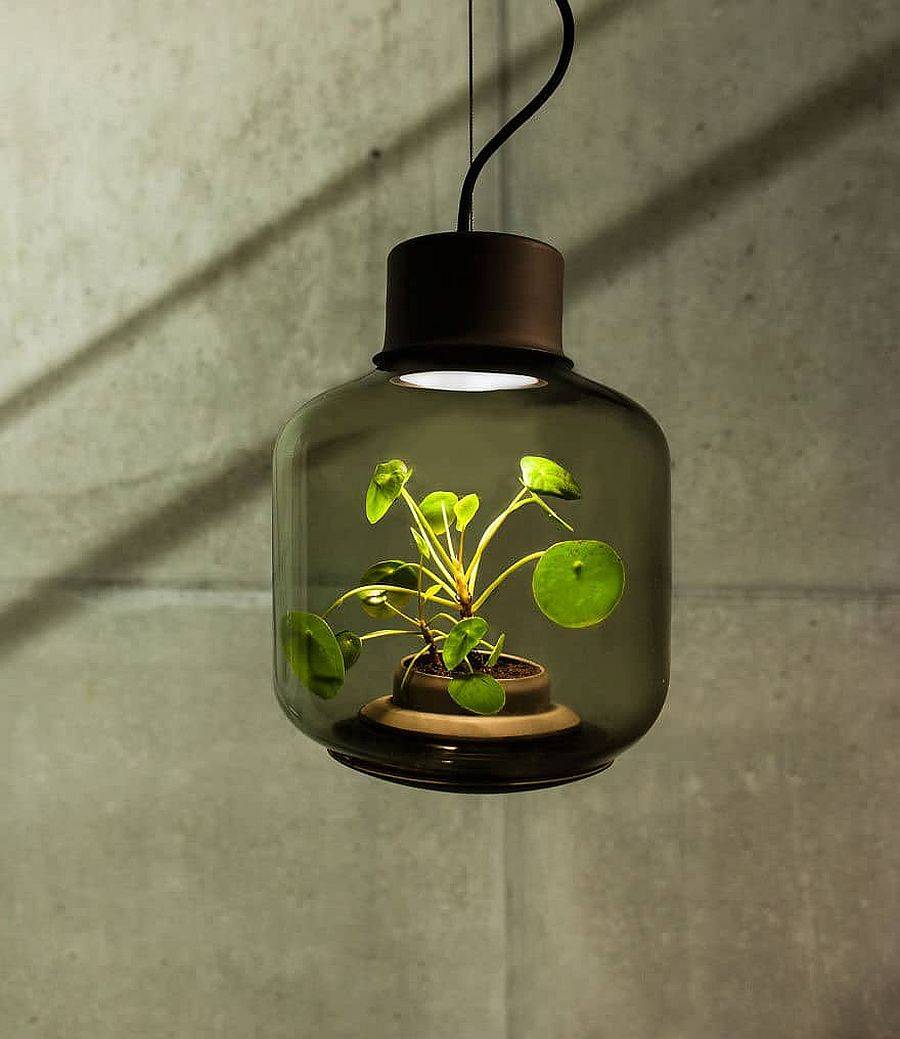 Closer look at the modern Mygdal Plantlights