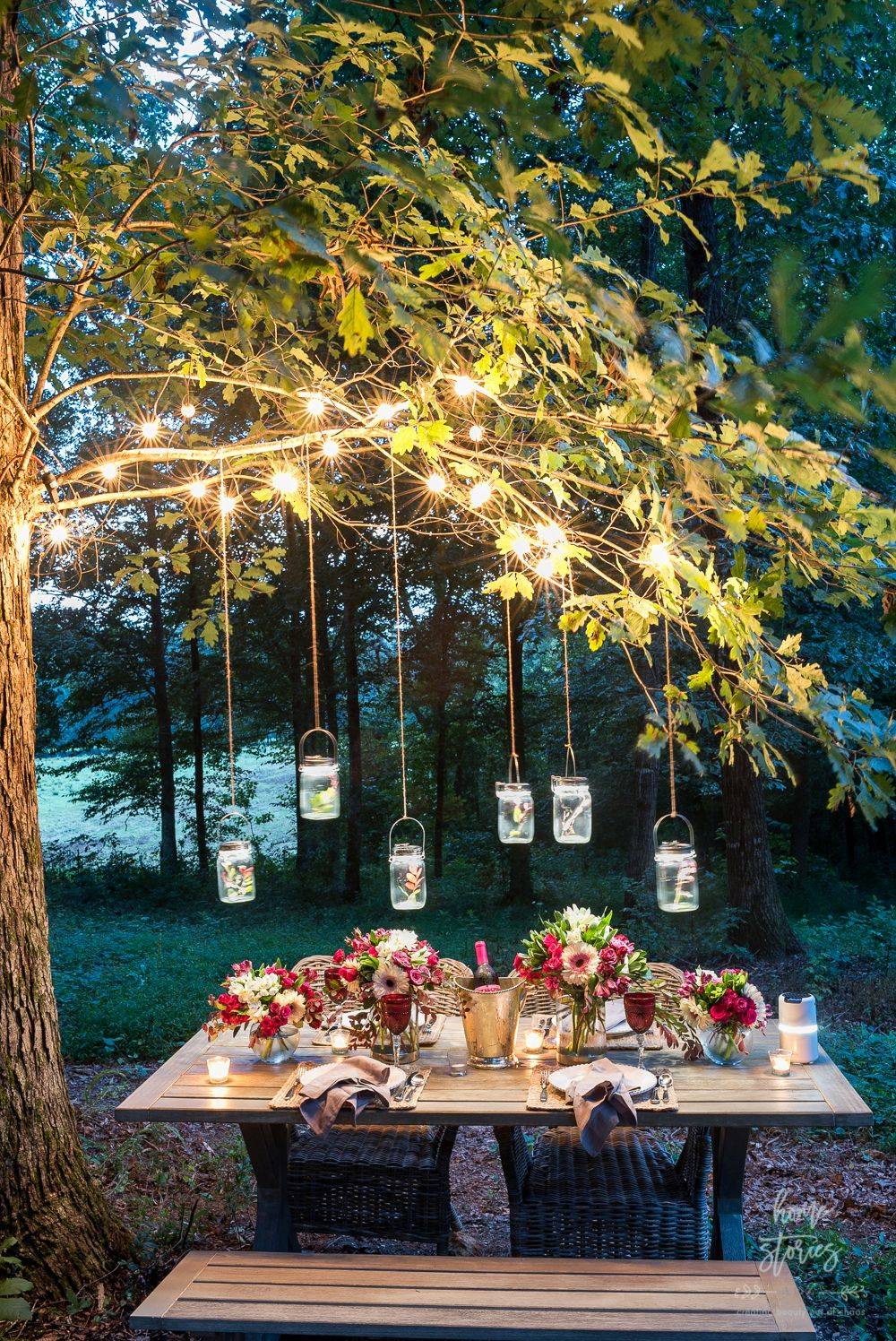 Fairy Lights Strung on a Tree