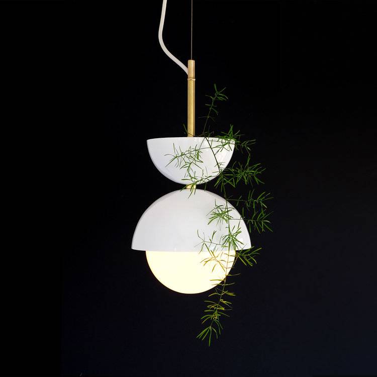 Find space a bit of greenery in your home with the hemisphere pendant light