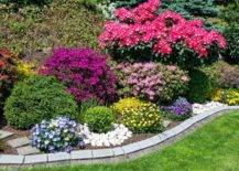 Flower Color Scheme for Backyard