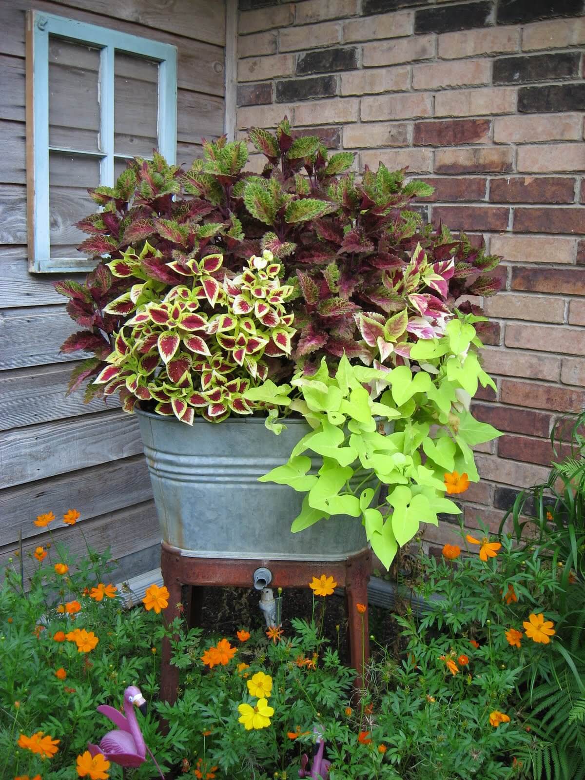 Galvanized Bucket Planter