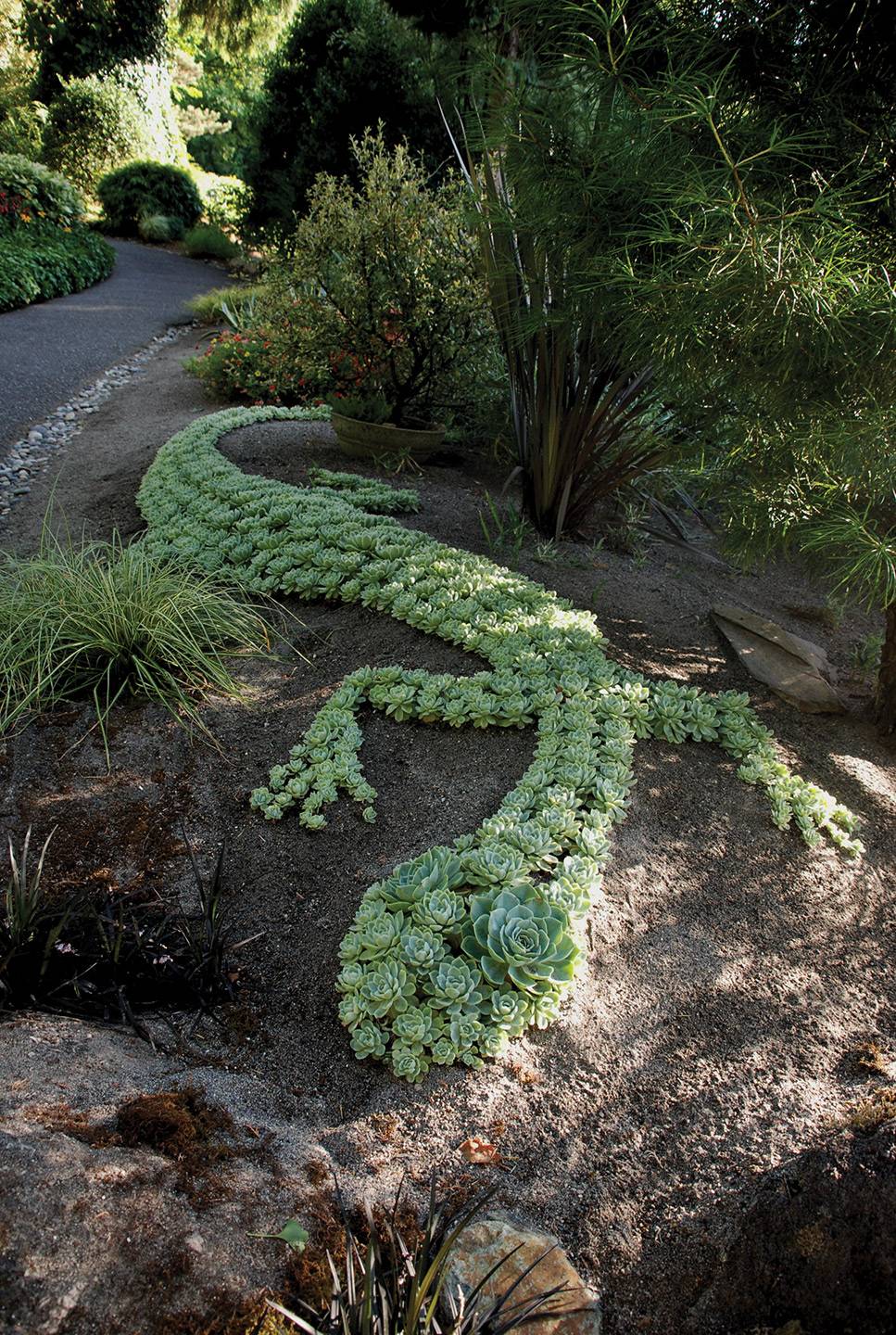 unique succulent garden ideas for home decor; succulent garden