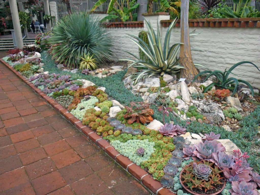 unique succulent garden ideas for home decor; succulent garden