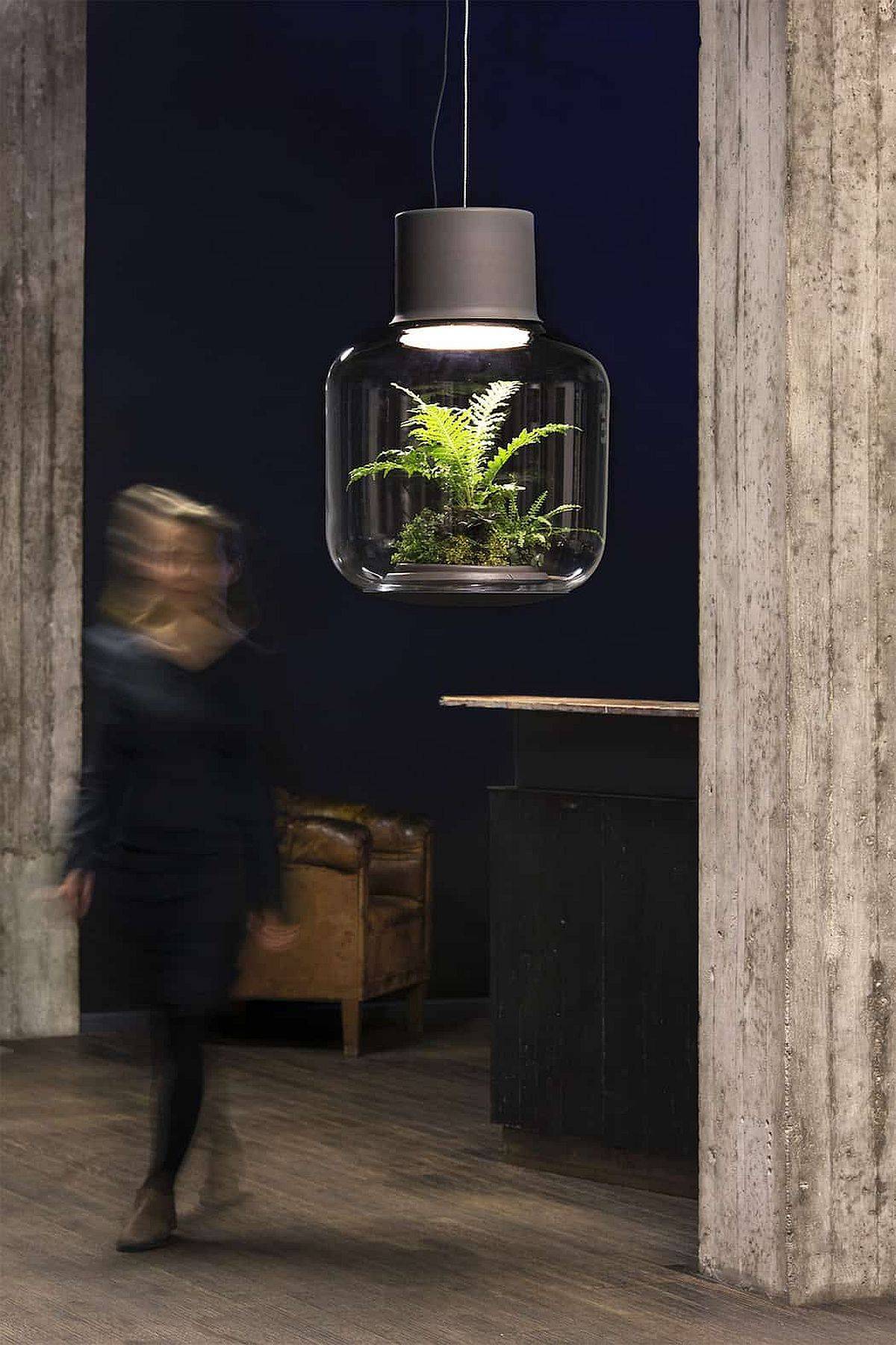 Green Lighting: Awesome Light Fixtures with Gorgeous Live Plants