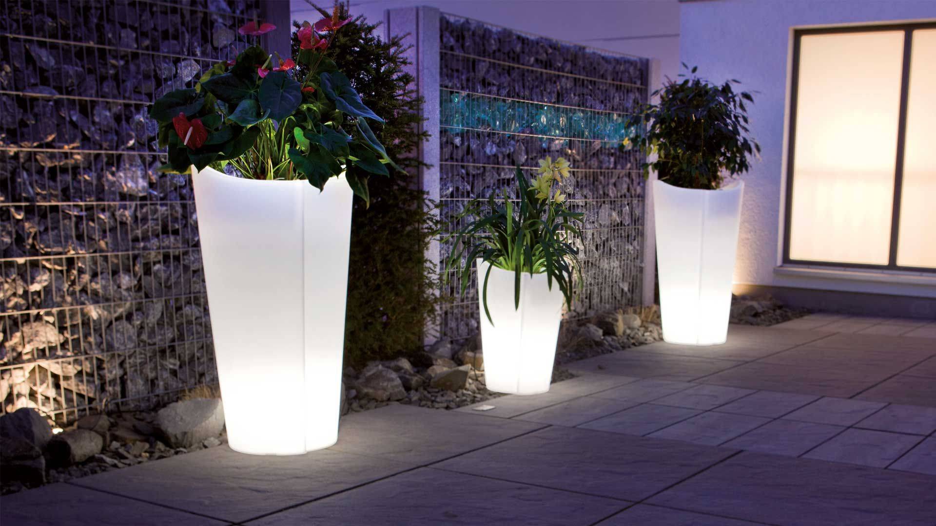 Lights up Flower Planters