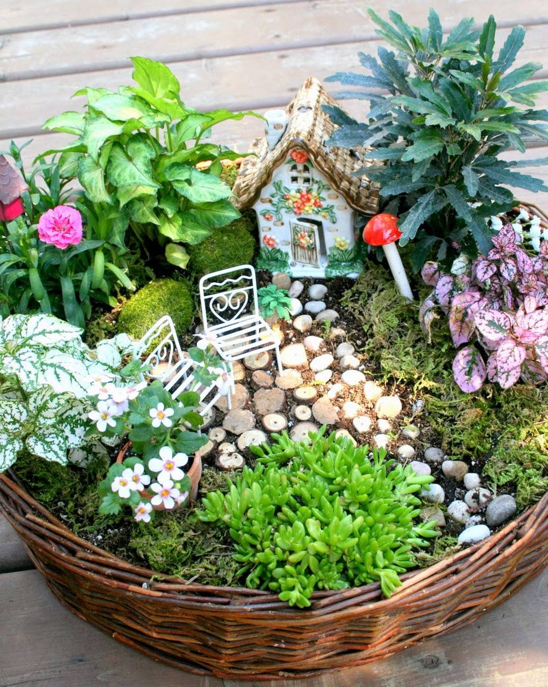 Mini garden in a basket