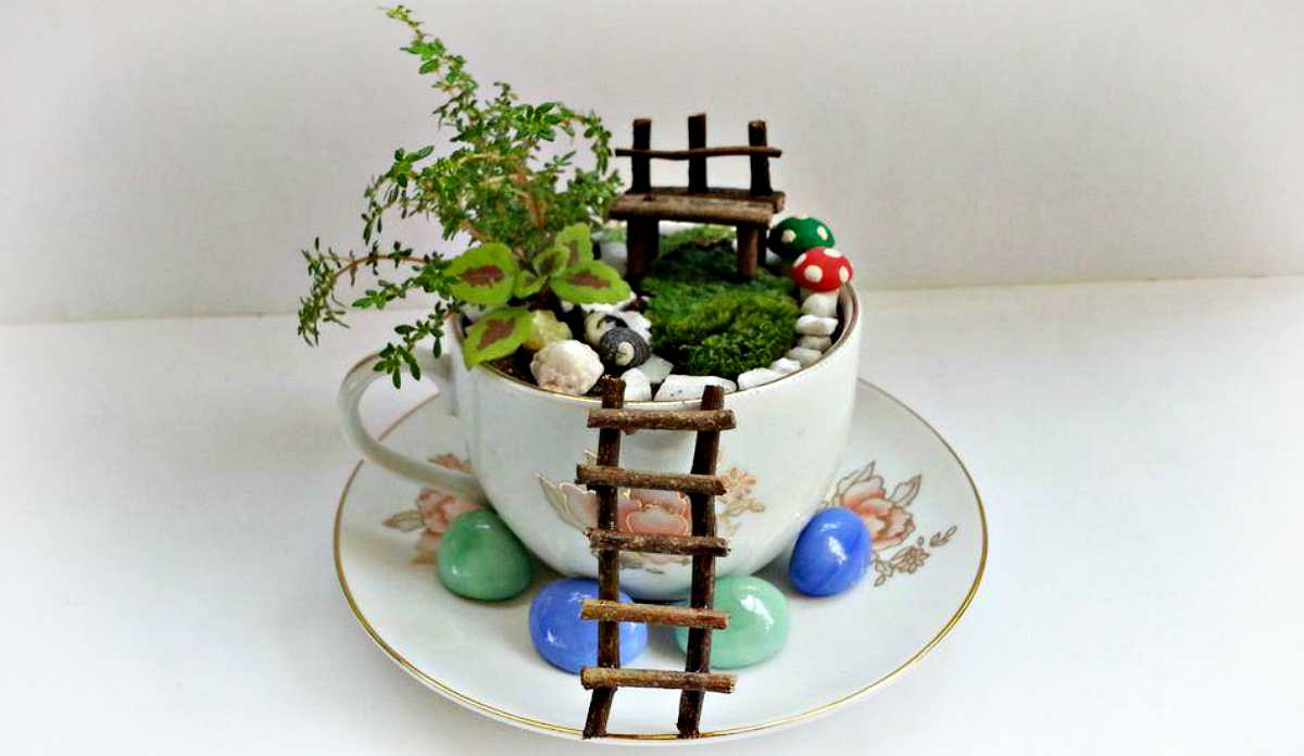 Mini garden in white floral teacup