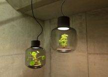 Mygdal-Plantlights-bring-greenery-indoors-in-style-54556-217x155