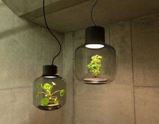 Green Lighting: Awesome Light Fixtures with Gorgeous Live Plants