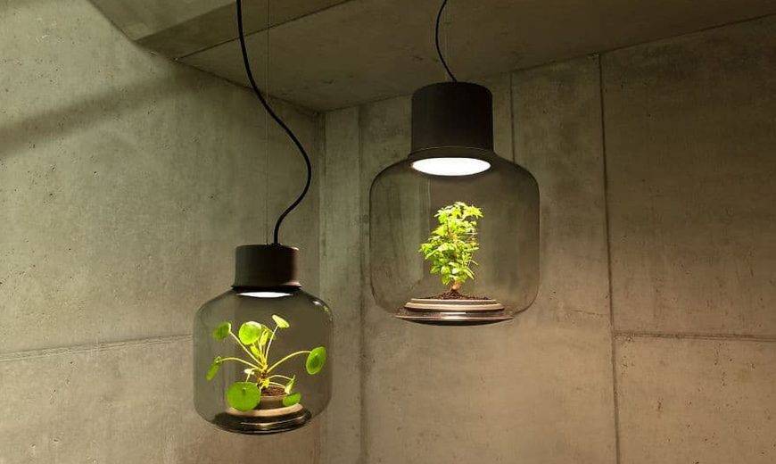 Green Lighting: Awesome Light Fixtures with Gorgeous Live Plants