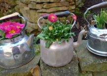 Pink flowers planted on grey kettle