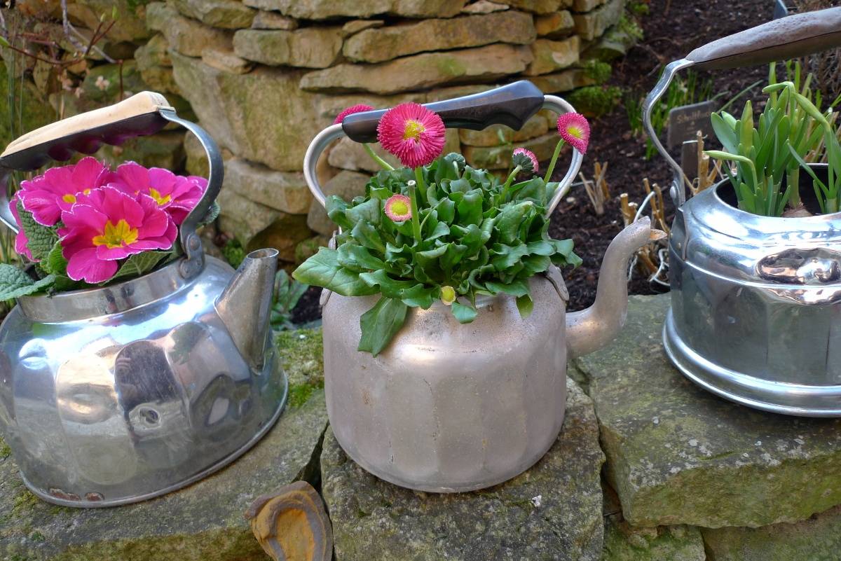 Pink flowers planted on grey kettle