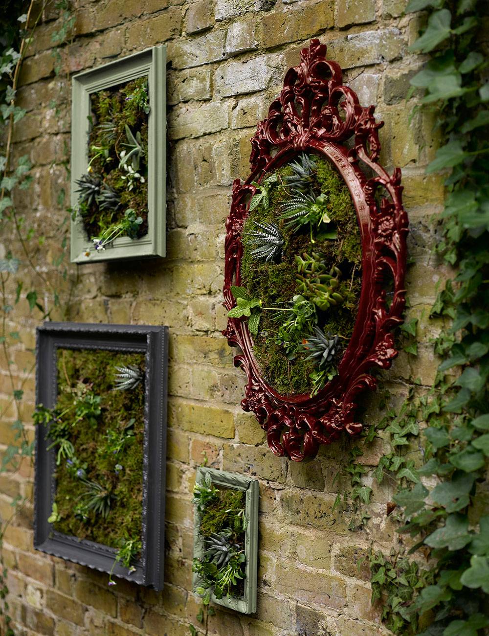 Plant Picture Frame