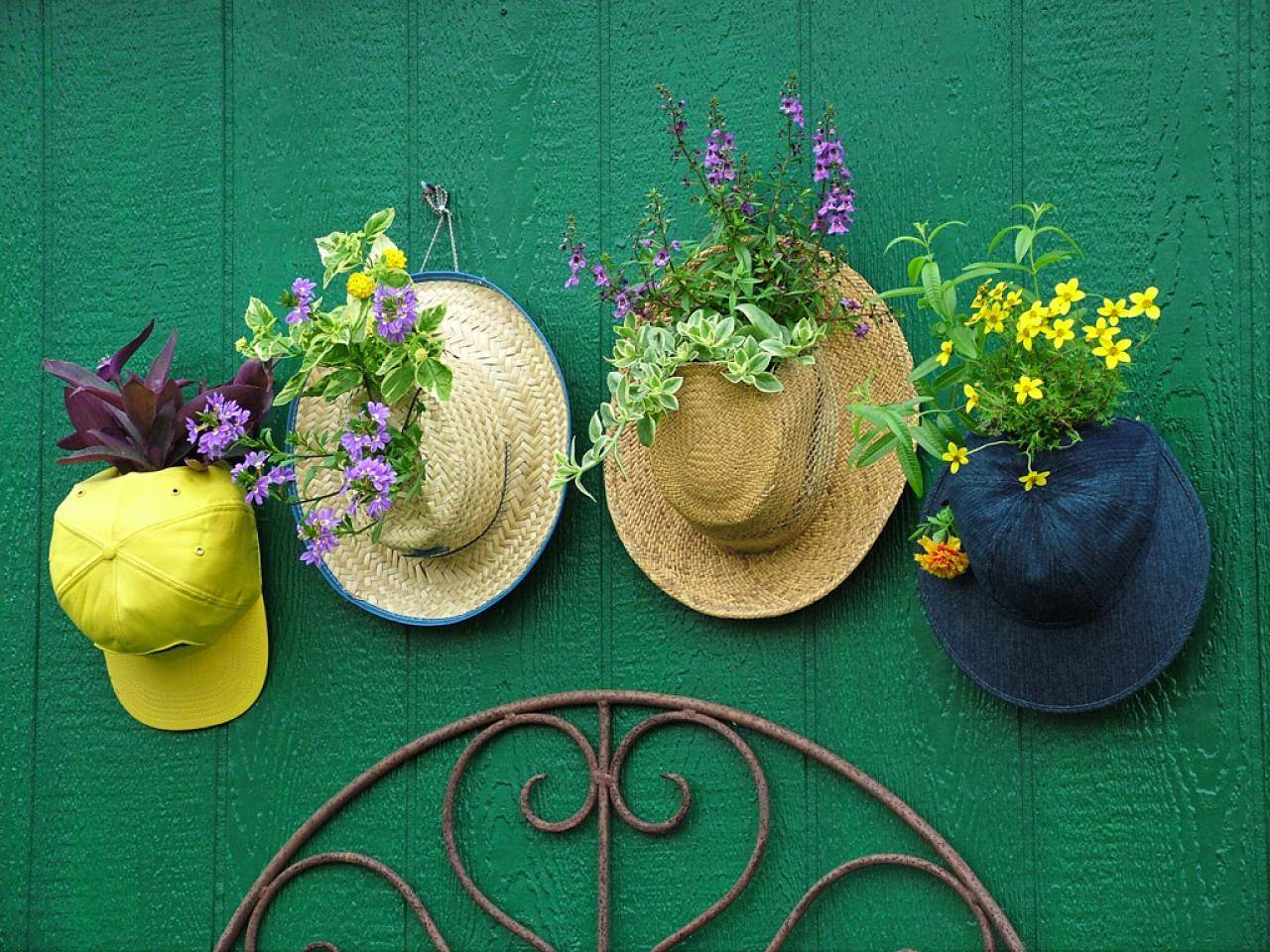 Plants on hats hanging from green wall