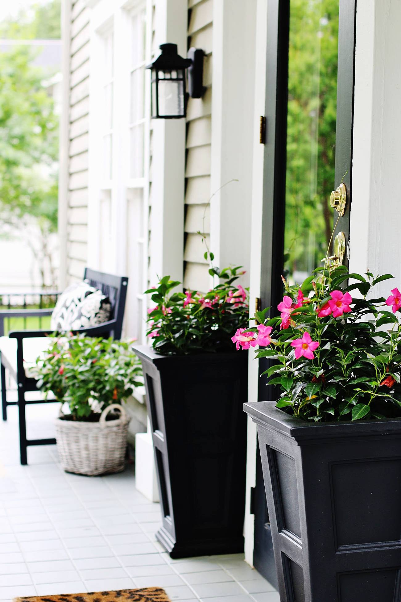 Polished Wooden Planter Boxes