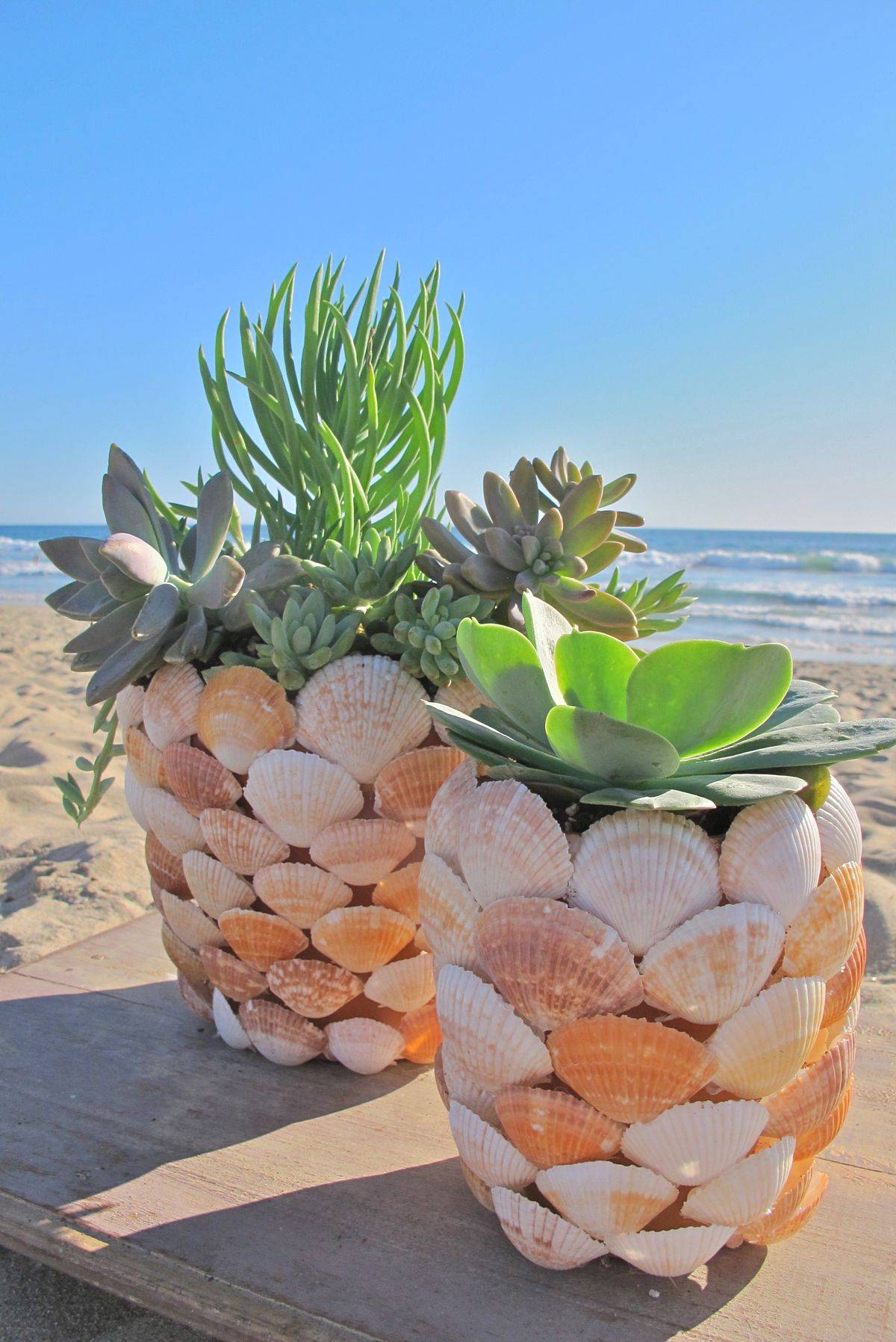 Sea Inspired Planter